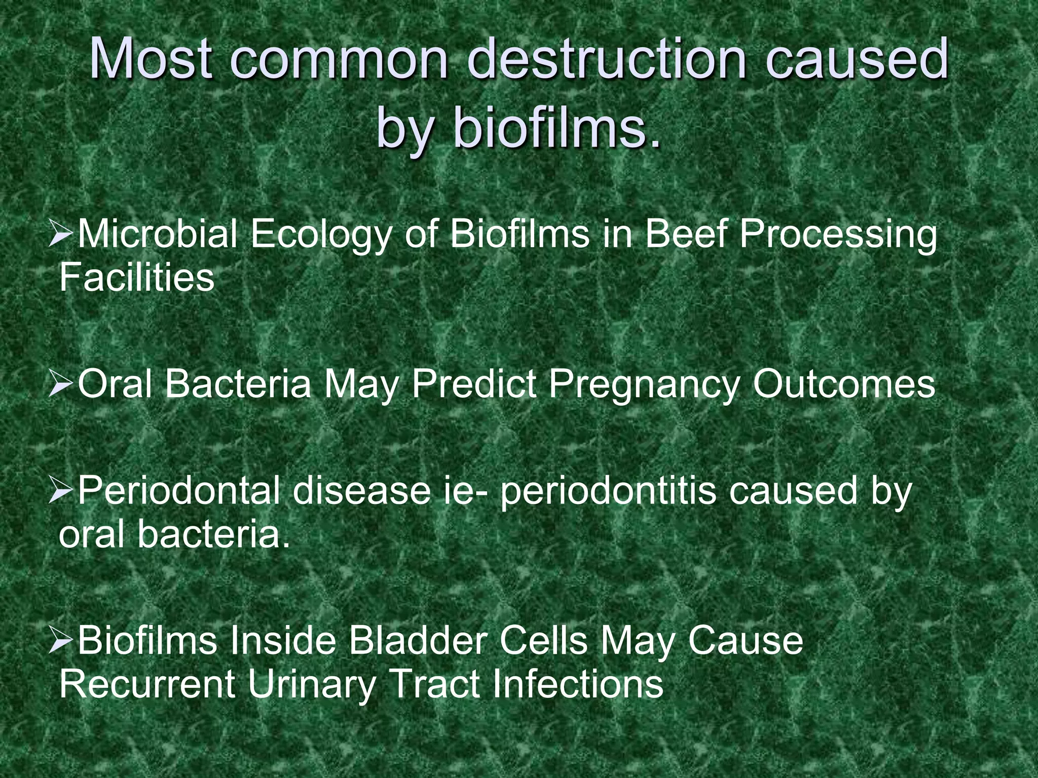 BioFilms | PPT