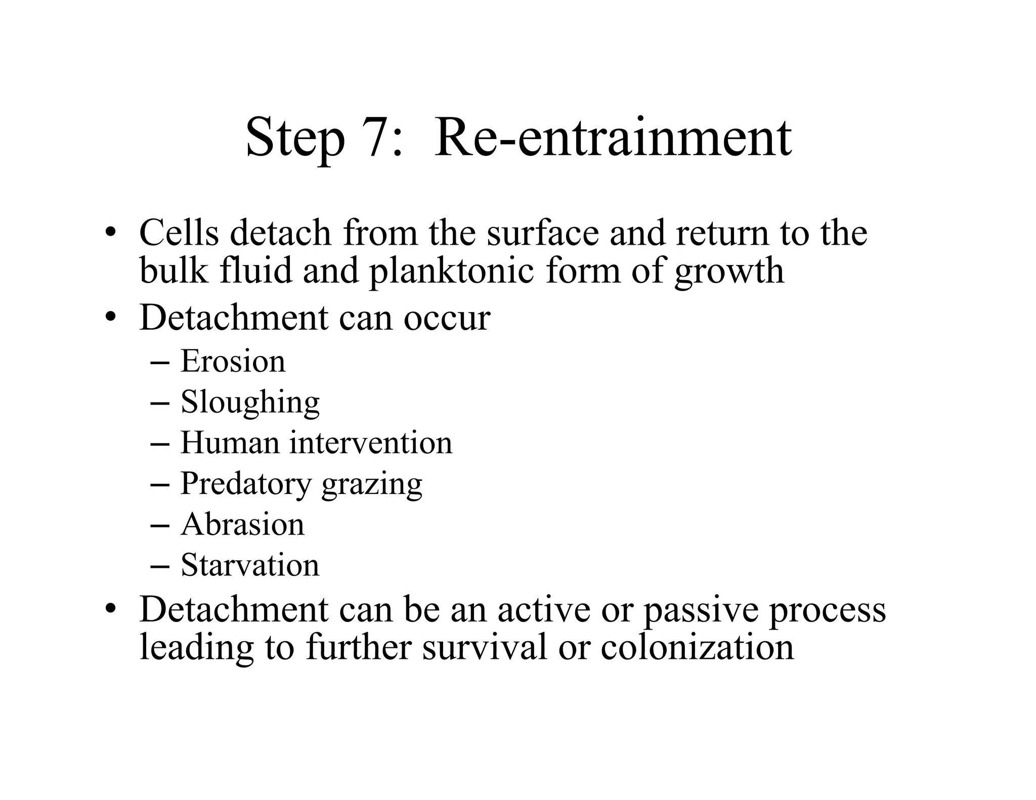 Step 7: Re-entrainment
Step 7: Re entrainment
• Cells detach from the surface and return to the
bulk fluid and planktonic form of growth
• Detachment can occur
E i
– Erosion
– Sloughing
– Human intervention
Human intervention
– Predatory grazing
– Abrasion
– Starvation
• Detachment can be an active or passive process
leading to further survival or colonization
leading to further survival or colonization
 