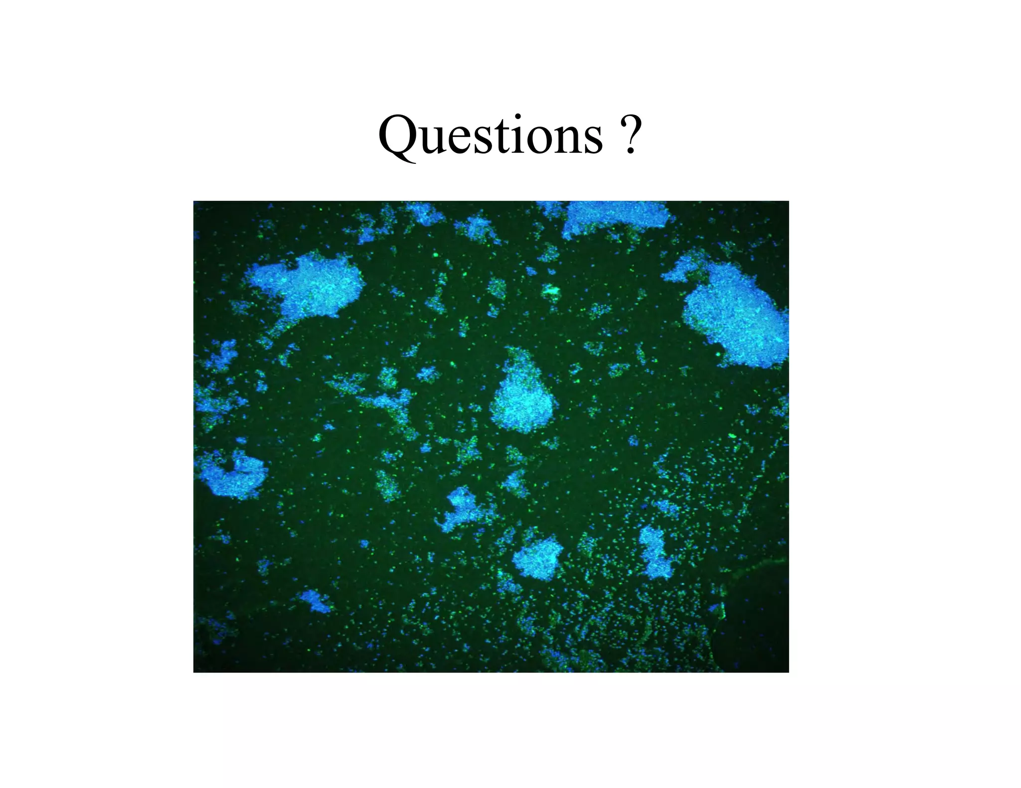 Questions ?
Questions ?
 