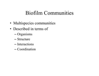 Biofilm Communities
Biofilm Communities
• Multispecies communities
Multispecies communities
• Described in terms of
O i
– Organisms
– Structure
– Interactions
– Coordination
 