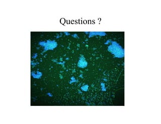 Questions ?
Questions ?
 