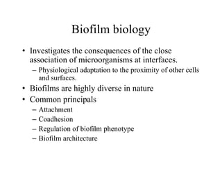 Biofilm biology
Biofilm biology
• Investigates the consequences of the close
Investigates the consequences of the close
association of microorganisms at interfaces.
– Physiological adaptation to the proximity of other cells
and surfaces.
• Biofilms are highly diverse in nature
i i l
• Common principals
– Attachment
C dh i
– Coadhesion
– Regulation of biofilm phenotype
– Biofilm architecture
Biofilm architecture
 