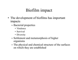 Biofilm impact
Biofilm impact
• The development of biofilms has important
The development of biofilms has important
impacts
– Bacterial properties
p p
• Virulence
• Survival
• Diversity
– Settlement and metamorphosis of higher
organisms
organisms
– The physical and chemical structure of the surfaces
on which they are established
y
 