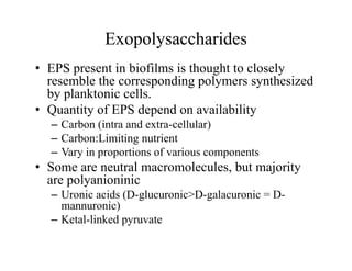 Exopolysaccharides
• EPS present in biofilms is thought to closely
resemble the corresponding polymers synthesized
resemble the corresponding polymers synthesized
by planktonic cells.
• Quantity of EPS depend on availability
– Carbon (intra and extra-cellular)
– Carbon:Limiting nutrient
– Vary in proportions of various components
– Vary in proportions of various components
• Some are neutral macromolecules, but majority
are polyanioninic
p y
– Uronic acids (D-glucuronic>D-galacuronic = D-
mannuronic)
– Ketal-linked pyruvate
Ketal-linked pyruvate
 
