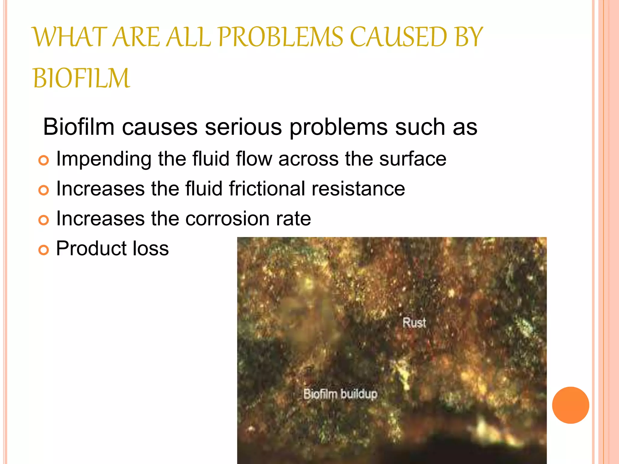 Biofilm in food industries 1 | PPTX