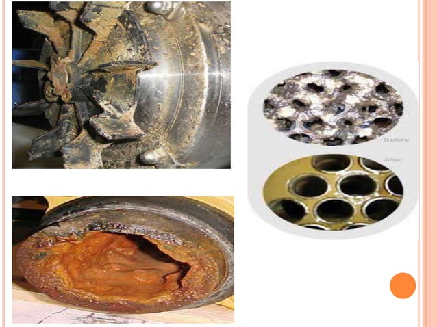 Biofilm Problem Biofilm in food industries 1 | PPTX