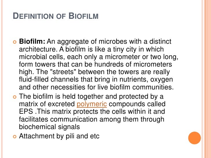 Biofilm information in pathogen bacteria