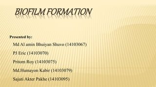 BIOFILMFORMATION
Presented by:
Md Al amin Bhuiyan Shuvo (14103067)
PJ Eric (14103070)
Pritom Roy (14103075)
Md.Humayon Kabir (14103079)
Sajuti Akter Pakhe (14103095)
 