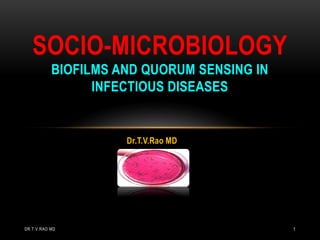 Dr.T.V.Rao MD
SOCIO-MICROBIOLOGY
BIOFILMS AND QUORUM SENSING IN
INFECTIOUS DISEASES
DR.T.V.RAO MD 1
 