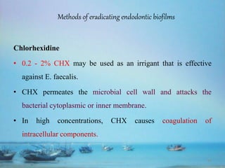 Endodontic Biofilms and management..pptx