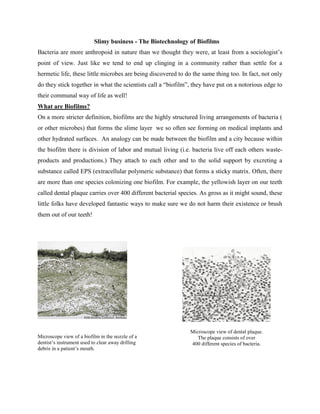 Slimy business - The Biotechnology of Biofilms
Bacteria are more anthropoid in nature than we thought they were, at least from a sociologist’s
point of view. Just like we tend to end up clinging in a community rather than settle for a
hermetic life, these little microbes are being discovered to do the same thing too. In fact, not only
do they stick together in what the scientists call a “biofilm”, they have put on a notorious edge to
their communal way of life as well!
What are Biofilms?
On a more stricter definition, biofilms are the highly structured living arrangements of bacteria (
or other microbes) that forms the slime layer we so often see forming on medical implants and
other hydrated surfaces. An analogy can be made between the biofilm and a city because within
the biofilm there is division of labor and mutual living (i.e. bacteria live off each others waste-
products and productions.) They attach to each other and to the solid support by excreting a
substance called EPS (extracellular polymeric substance) that forms a sticky matrix. Often, there
are more than one species colonizing one biofilm. For example, the yellowish layer on our teeth
called dental plaque carries over 400 different bacterial species. As gross as it might sound, these
little folks have developed fantastic ways to make sure we do not harm their existence or brush
them out of our teeth!




                                                               Microscope view of dental plaque.
Microscope view of a biofilm in the nozzle of a                   The plaque consists of over
dentist’s instrument used to clear away drilling               400 different species of bacteria.
debris in a patient’s mouth.
 