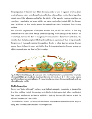 The composition of the slimy layer differs depending on the species of organism involved. Gram
negative bacteria makes neutral or polyanionic biofilms whereas Gram positive bacteria produce
cationic ones. Other adjuvants might effect the stability of the layer, for example metal ions can
cause better cross-linking and hence, stickier and stabler matrix of polyanionic EPS. On the other
hand, lactoferrin, an iron binding protein in mammals prevents P.aeruginosa from forming
biofilms.
Such convivial conglomerates of microbes do more than just stick to surfaces. In fact, they
communicate with each other through chemical signaling. When enough of the chemical has
accumulated, it means that there is enough microbes to commence the formation of biofilm. The
microbes then start changing their lifestyles to suit living in a community than living separately.
The process of chemically sensing the population density is called Quorum sensing. Quorum
sensing forms the basis for many anti-biofilm drug designers as disrupting Quorum sensing can
inhibit communication and thus, biofilm formation.




Fig. 1: The biofilm life cycle. 1: individual cells populate the surface. 2: extracellular polymeric
substance (EPS) is produced and attachment becomes irreversible. 3 & 4: cells become layered
and effects of quorum sensing begins. 5: cluster reaches maximum thickness and single cells are
released from the biofilm

The biofilm problem
The proverb “Unity is Strength” probably never had such a negative connotation as it does while
describing biofilms. United, the microbes in the biofilm defend against their killers (antibiotics):
they employ mechanisms to destroy antibiotics, build up impenetrable bastion so that the
microbes’ demons can’t reach them.
Once in biofilm, bacteria can be several folds more resistant to antibiotics than when they live
freely. This could be due to one of the following reasons:
 