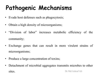 Pathogenic Mechanisms
• Evade host defenses such as phagocytosis;
• Obtain a high density of microorganisms;
• “Division of labor” increases metabolic efficiency of the
community;
• Exchange genes that can result in more virulent strains of
microorganisms;
• Produce a large concentration of toxins;
• Detachment of microbial aggregates transmits microbes to other
sites. Dr Md Ashraf Ali
 