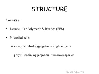 STRUCTURE
Consists of
• Extracellular Polymeric Substance (EPS)
• Microbial cells
– monomicrobial aggregation- single organism
– polymicrobial aggergation- numerous species
Dr Md Ashraf Ali
 