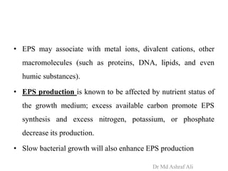 • EPS may associate with metal ions, divalent cations, other
macromolecules (such as proteins, DNA, lipids, and even
humic substances).
• EPS production is known to be affected by nutrient status of
the growth medium; excess available carbon promote EPS
synthesis and excess nitrogen, potassium, or phosphate
decrease its production.
• Slow bacterial growth will also enhance EPS production
Dr Md Ashraf Ali
 