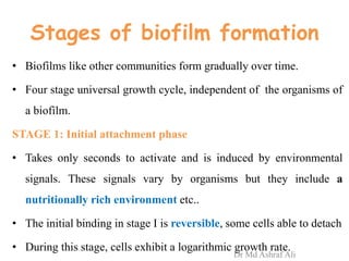 Stages of biofilm formation
• Biofilms like other communities form gradually over time.
• Four stage universal growth cycle, independent of the organisms of
a biofilm.
STAGE 1: Initial attachment phase
• Takes only seconds to activate and is induced by environmental
signals. These signals vary by organisms but they include a
nutritionally rich environment etc..
• The initial binding in stage I is reversible, some cells able to detach
• During this stage, cells exhibit a logarithmic growth rate.
Dr Md Ashraf Ali
 