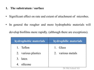 1. The substratum / surface
• Significant effect on rate and extent of attachment of microbes.
• In general the rougher and more hydrophobic materials will
develop biofilms more rapidly. (although there are exceptions).
hydrophobic materials hydrophilic materials
1. Teflon
2. various plastics
3. latex
4. silicone
1. Glass
2. various metals
Dr Md Ashraf Ali
 