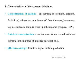 4. Characteristics of the Aqueous Medium
• Concentration of cations - an increase in (sodium, calcium,
ferric iron) affects the attachment of Pseudomonas fluorescens
to glass surfaces. Cations cross-link the anionic groups of EPS.
• Nutrient concentration - an increase is correlated with an
increase in the number of attached bacterial cells.
• pH- Increased pH lead to a higher biofilm production
Dr Md Ashraf Ali
 