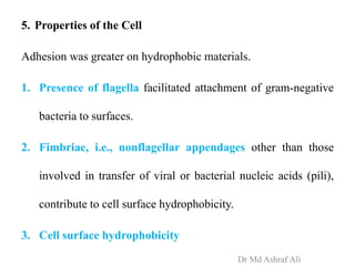5. Properties of the Cell
Adhesion was greater on hydrophobic materials.
1. Presence of flagella facilitated attachment of gram-negative
bacteria to surfaces.
2. Fimbriae, i.e., nonflagellar appendages other than those
involved in transfer of viral or bacterial nucleic acids (pili),
contribute to cell surface hydrophobicity.
3. Cell surface hydrophobicity
Dr Md Ashraf Ali
 
