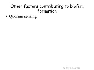 Other factors contributing to biofilm
formation
• Quorum sensing
Dr Md Ashraf Ali
 