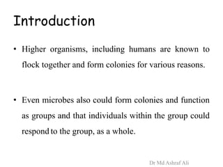 Introduction
• Higher organisms, including humans are known to
flock together and form colonies for various reasons.
• Even microbes also could form colonies and function
as groups and that individuals within the group could
respond to the group, as a whole.
Dr Md Ashraf Ali
 