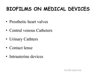 BIOFILMS ON MEDICAL DEVICES
• Prosthetic heart valves
• Central venous Catheters
• Urinary Cathters
• Contact lense
• Intrauterine devices
Dr Md Ashraf Ali
 