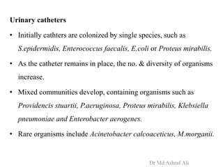 Urinary catheters
• Initially cathters are colonized by single species, such as
S.epidermidis, Enterococcus faecalis, E.coli or Proteus mirabilis.
• As the catheter remains in place, the no. & diversity of organisms
increase.
• Mixed communities develop, containing organisms such as
Providencis stuartii, P.aeruginosa, Proteus mirabilis, Klebsiella
pneumoniae and Enterobacter aerogenes.
• Rare organisms include Acinetobacter calcoaceticus, M.morganii.
Dr Md Ashraf Ali
 