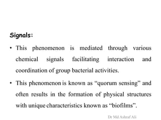 Signals:
• This phenomenon is mediated through various
chemical signals facilitating interaction and
coordination of group bacterial activities.
• This phenomenon is known as “quorum sensing” and
often results in the formation of physical structures
with unique characteristics known as “biofilms”.
Dr Md Ashraf Ali
 