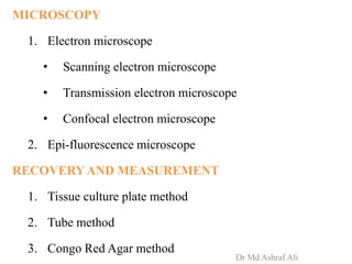 MICROSCOPY
1. Electron microscope
• Scanning electron microscope
• Transmission electron microscope
• Confocal electron microscope
2. Epi-fluorescence microscope
RECOVERYAND MEASUREMENT
1. Tissue culture plate method
2. Tube method
3. Congo Red Agar method
Dr Md Ashraf Ali
 