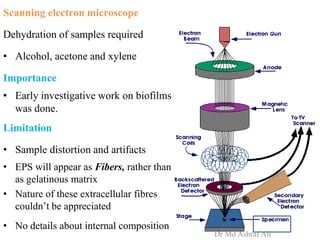 Scanning electron microscope
Dehydration of samples required
• Alcohol, acetone and xylene
Importance
• Early investigative work on biofilms
was done.
Limitation
• Sample distortion and artifacts
• EPS will appear as Fibers, rather than
as gelatinous matrix
• Nature of these extracellular fibres
couldn’t be appreciated
• No details about internal composition
Dr Md Ashraf Ali
 