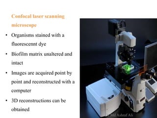 Confocal laser scanning
microscope
• Organisms stained with a
fluorescennt dye
• Biofilm matrix unaltered and
intact
• Images are acquired point by
point and reconstructed with a
computer
• 3D reconstructions can be
obtained
Dr Md Ashraf Ali
 