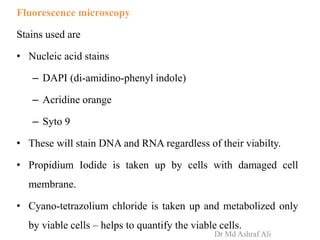 Fluorescence microscopy
Stains used are
• Nucleic acid stains
– DAPI (di-amidino-phenyl indole)
– Acridine orange
– Syto 9
• These will stain DNA and RNA regardless of their viabilty.
• Propidium Iodide is taken up by cells with damaged cell
membrane.
• Cyano-tetrazolium chloride is taken up and metabolized only
by viable cells – helps to quantify the viable cells.
Dr Md Ashraf Ali
 
