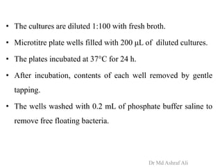• The cultures are diluted 1:100 with fresh broth.
• Microtitre plate wells filled with 200 μL of diluted cultures.
• The plates incubated at 37°C for 24 h.
• After incubation, contents of each well removed by gentle
tapping.
• The wells washed with 0.2 mL of phosphate buffer saline to
remove free floating bacteria.
Dr Md Ashraf Ali
 