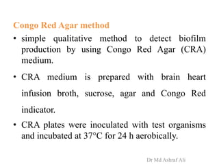 Congo Red Agar method
• simple qualitative method to detect biofilm
production by using Congo Red Agar (CRA)
medium.
• CRA medium is prepared with brain heart
infusion broth, sucrose, agar and Congo Red
indicator.
• CRA plates were inoculated with test organisms
and incubated at 37°C for 24 h aerobically.
Dr Md Ashraf Ali
 