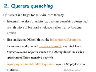 2. Quorum quenching
QS system is a target for anti-virulence therapy
• In contrast to classic antibiotics, quorum-quenching compounds
are inhibitors of bacterial virulence, rather than of bacterial
growth.
• first studies on QS inhibitors, the halogenated furanones
• Two compounds, named yayurea A and B, excreted from
Staphylococcus delphini quench the QS regulation in a wide
spectrum of Gram-negative bacteria
• Apolipoprotein B & AIP Sequesters against Staphylococcal
biofilms Dr Md Ashraf Ali
 