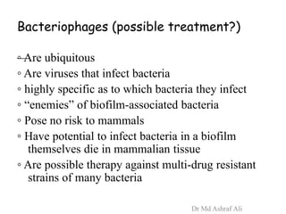 Bacteriophages (possible treatment?)
—◦ Are ubiquitous
◦ Are viruses that infect bacteria
◦ highly specific as to which bacteria they infect
◦ “enemies” of biofilm-associated bacteria
◦ Pose no risk to mammals
◦ Have potential to infect bacteria in a biofilm
themselves die in mammalian tissue
◦ Are possible therapy against multi-drug resistant
strains of many bacteria
Dr Md Ashraf Ali
 