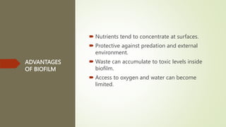 ADVANTAGES
OF BIOFILM
 Nutrients tend to concentrate at surfaces.
 Protective against predation and external
environment.
 Waste can accumulate to toxic levels inside
biofilm.
 Access to oxygen and water can become
limited.
 