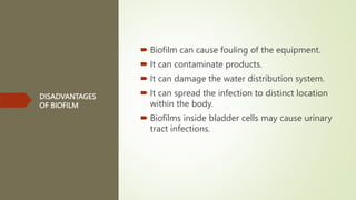 DISADVANTAGES
OF BIOFILM
 Biofilm can cause fouling of the equipment.
 It can contaminate products.
 It can damage the water distribution system.
 It can spread the infection to distinct location
within the body.
 Biofilms inside bladder cells may cause urinary
tract infections.
 