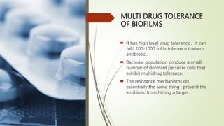 MULTI DRUG TOLERANCE
OF BIOFILMS
 It has high level drug tolerance , it can
fold 100-1000 folds tolerance towards
antibiotic .
 Bacterial population produce a small
number of dormant persister cells that
exhibit multidrug tolerance.
 The resistance mechanisms do
essentially the same thing : prevent the
antibiotic from hitting a target.
 