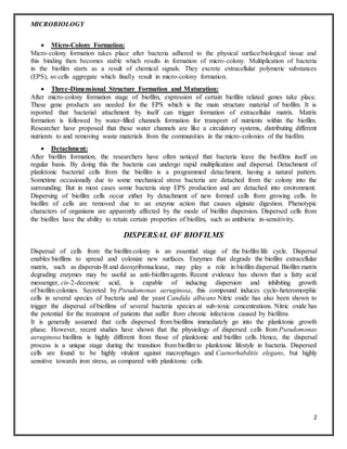 MICROBIOLOGY
2
 Micro-Colony Formation:
Micro-colony formation takes place after bacteria adhered to the physical surface/biological tissue and
this binding then becomes stable which results in formation of micro-colony. Multiplication of bacteria
in the biofilm starts as a result of chemical signals. They excrete extracellular polymeric substances
(EPS), so cells aggregate which finally result in micro-colony formation.
 Three-Dimensional Structure Formation and Maturation:
After micro-colony formation stage of biofilm, expression of certain biofilm related genes take place.
These gene products are needed for the EPS which is the main structure material of biofilm. It is
reported that bacterial attachment by itself can trigger formation of extracellular matrix. Matrix
formation is followed by water-filled channels formation for transport of nutrients within the biofilm.
Researcher have proposed that these water channels are like a circulatory systems, distributing different
nutrients to and removing waste materials from the communities in the micro-colonies of the biofilm.
 Detachment:
After biofilm formation, the researchers have often noticed that bacteria leave the biofilms itself on
regular basis. By doing this the bacteria can undergo rapid multiplication and dispersal. Detachment of
planktonic bacterial cells from the biofilm is a programmed detachment, having a natural pattern.
Sometime occasionally due to some mechanical stress bacteria are detached from the colony into the
surrounding. But in most cases some bacteria stop EPS production and are detached into environment.
Dispersing of biofilm cells occur either by detachment of new formed cells from growing cells. In
biofilm of cells are removed due to an enzyme action that causes alginate digestion. Phenotypic
characters of organisms are apparently affected by the mode of biofilm dispersion. Dispersed cells from
the biofilm have the ability to retain certain properties of biofilm, such as antibiotic in-sensitivity.
DISPERSAL OF BIOFILMS
Dispersal of cells from the biofilm colony is an essential stage of the biofilm life cycle. Dispersal
enables biofilms to spread and colonize new surfaces. Enzymes that degrade the biofilm extracellular
matrix, such as dispersin-B and deoxyribonuclease, may play a role in biofilm dispersal. Biofilm matrix
degrading enzymes may be useful as anti-biofilm agents. Recent evidence has shown that a fatty acid
messenger, cis-2-decenoic acid, is capable of inducing dispersion and inhibiting growth
of biofilm colonies. Secreted by Pseudomonas aeruginosa, this compound induces cyclo-heteromorphic
cells in several species of bacteria and the yeast Candida albicans Nitric oxide has also been shown to
trigger the dispersal of biofilms of several bacteria species at sub-toxic concentrations. Nitric oxide has
the potential for the treatment of patients that suffer from chronic infections caused by biofilms
It is generally assumed that cells dispersed from biofilms immediately go into the planktonic growth
phase. However, recent studies have shown that the physiology of dispersed cells from Pseudomonas
aeruginosa biofilms is highly different from those of planktonic and biofilm cells. Hence, the dispersal
process is a unique stage during the transition from biofilm to planktonic lifestyle in bacteria. Dispersed
cells are found to be highly virulent against macrophages and Caenorhabditis elegans, but highly
sensitive towards iron stress, as compared with planktonic cells.
 