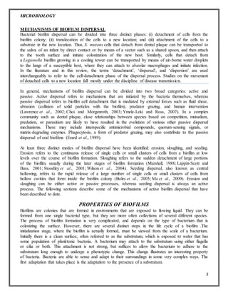 MICROBIOLOGY
3
MECHANISMS OF BIOFILM DISPERSAL
Bacterial biofilm dispersal can be divided into three distinct phases: (i) detachment of cells from the
biofilm colony; (ii) translocation of the cells to a new location; and (iii) attachment of the cells to a
substrate in the new location. Thus, S. mutans cells that detach from dental plaque can be transported to
the saliva of an infant by direct contact or by means of a vector such as a shared spoon, and then attach
to the tooth surface and initiate colonization of the new host. Similarly, cells that detach from
a Legionella biofilm growing in a cooling tower can be transported by means of air-borne water droplets
to the lungs of a susceptible host, where they can attach to alveolar macrophages and initiate infection.
In the literature and in this review, the terms ‘detachment’, ‘dispersal’, and ‘dispersion’ are used
interchangeably to refer to the cell-detachment phase of the dispersal process. Studies on the movement
of detached cells to a new location fall mostly under the discipline of disease transmission.
In general, mechanisms of biofilm dispersal can be divided into two broad categories: active and
passive. Active dispersal refers to mechanisms that are initiated by the bacteria themselves, whereas
passive dispersal refers to biofilm cell detachment that is mediated by external forces such as fluid shear,
abrasion (collision of solid particles with the biofilm), predator grazing, and human intervention
(Lawrence et al., 2002; Choi and Morgenroth, 2003; Ymele-Leki and Ross, 2007). In a complex
community such as dental plaque, close relationships between species based on competition, mutualism,
predation, or parasitism are likely to have resulted in the evolution of various other passive dispersal
mechanisms. These may include interspecific antimicrobial compounds, quorum-sensing signals, or
matrix-degrading enzymes. Phagocytosis, a form of predator grazing, may also contribute to the passive
dispersal of oral biofilms (Erard et al., 1989).
At least three distinct modes of biofilm dispersal have been identified: erosion, sloughing, and seeding.
Erosion refers to the continuous release of single cells or small clusters of cells from a biofilm at low
levels over the course of biofilm formation. Sloughing refers to the sudden detachment of large portions
of the biofilm, usually during the later stages of biofilm formation (Marshall, 1988; Lappin-Scott and
Bass, 2001; Stoodley et al., 2001; Wilson et al., 2004). Seeding dispersal, also known as central
hollowing, refers to the rapid release of a large number of single cells or small clusters of cells from
hollow cavities that form inside the biofilm colony (Boles et al., 2005; Ma et al., 2009). Erosion and
sloughing can be either active or passive processes, whereas seeding dispersal is always an active
process. The following sections describe some of the mechanisms of active biofilm dispersal that have
been described to date.
PROPERTIES OF BIOFILMS
Biofilms are colonies that are formed in environments that are exposed to flowing liquid. They can be
formed from one single bacterial type, but they are more often collections of several different species.
The process of biofilm formation is very complicated, and depends on the type of bacterium that is
colonizing the surface. However, there are several distinct steps in the life cycle of a biofilm .The
initialization stage, where the biofilm is actually formed, must be viewed from the scale of a bacterium.
Initially there is a clean surface, often referred to as the substratum, which is exposed to water that has
some population of planktonic bacteria. A bacterium may attach to the substratum using either flagella
or cilia or both. This attachment is not strong, but suffices to allow the bacterium to adhere to the
substratum long enough to undergo a phenotypic change. This change illustrates an interesting property
of bacteria. Bacteria are able to sense and adapt to their surroundings in some very complex ways. The
first adaptation that takes place is the adaptation to the presence of a substratum.
 