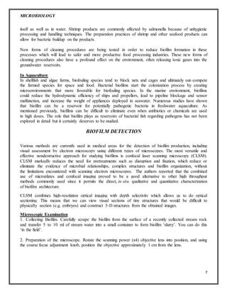 MICROBIOLOGY
7
itself as well as in water. Shrimp products are commonly affected by salmonella because of unhygienic
processing and handling techniques. The preparation practices of shrimp and other seafood products can
allow for bacteria buildup on the products.
New forms of cleaning procedures are being tested in order to reduce biofilm formation in these
processes which will lead to safer and more productive food processing industries. These new forms of
cleaning procedures also have a profound effect on the environment, often releasing toxic gases into the
groundwater reservoirs.
In Aquaculture
In shellfish and algae farms, biofouling species tend to block nets and cages and ultimately out-compete
the farmed species for space and food. Bacterial biofilms start the colonization process by creating
microenvironments that more favorable for biofouling species. In the marine environment, biofilms
could reduce the hydrodynamic efficiency of ships and propellers, lead to pipeline blockage and sensor
malfunction, and increase the weight of appliances deployed in seawater. Numerous studies have shown
that biofilm can be a reservoir for potentially pathogenic bacteria in freshwater aquaculture. As
mentioned previously, biofilms can be difficult to eliminate even when antibiotics or chemicals are used
in high doses. The role that biofilm plays as reservoirs of bacterial fish regarding pathogens has not been
explored in detail but it certainly deserves to be studied.
BIOFILM DETECTION
Various methods are currently used in medical areas for the detection of biofilm production, including
visual assessment by electron microscopy using different types of microscopes. The most versatile and
effective nondestructive approach for studying biofilms is confocal laser scanning microscopy (CLSM).
CLSM markedly reduces the need for pretreatments such as disruption and fixation, which reduce or
eliminate the evidence of microbial relationships, complex structures and biofilm organization, without
the limitations encountered with scanning electron microscopes. The authors reported that the combined
use of microplates and confocal imaging proved to be a good alternative to other high throughput
methods commonly used since it permits the direct, in situ qualitative and quantitative characterization
of biofilm architecture.
CLSM combines high-resolution optical imaging with depth selectivity which allows us to do optical
sectioning. This means that we can view visual sections of tiny structures that would be difficult to
physically section (e.g. embryos) and construct 3-D structures from the obtained images.
Microscopic Examination
1. Collecting Biofilm. Carefully scrape the biofilm from the surface of a recently collected stream rock
and transfer 5 to 10 ml of stream water into a small container to form biofilm ‘slurry’. You can do this
‘in the field’.
2. Preparation of the microscope. Rotate the scanning power (x4) objective lens into position, and using
the coarse focus adjustment knob, position the objective approximately 1 cm from the lens.
 
