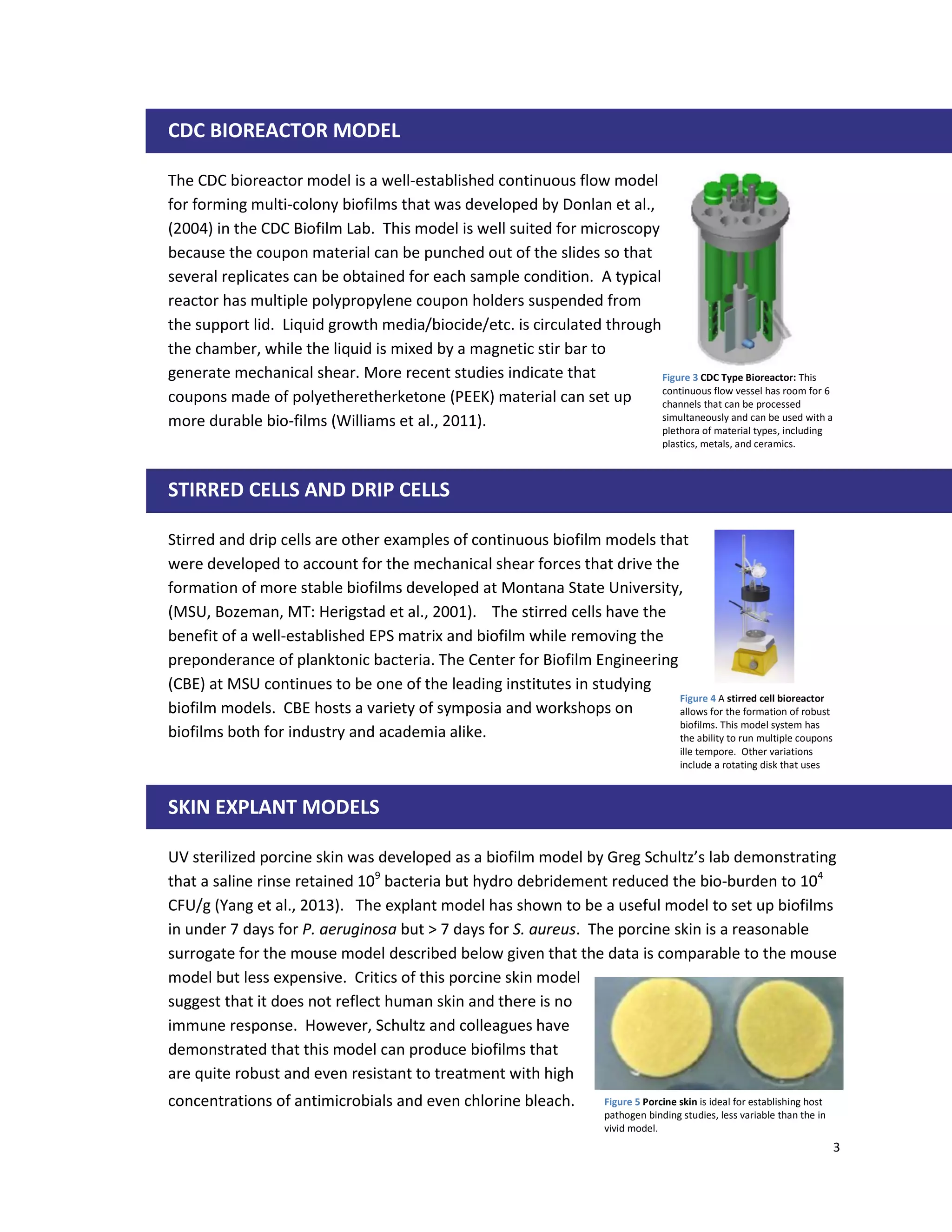 New 3d printed biofilm models for studying multispecies bacterial ...