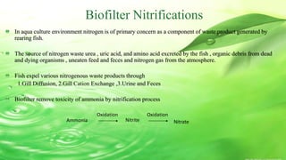 Biofilter presentation (2) | PDF