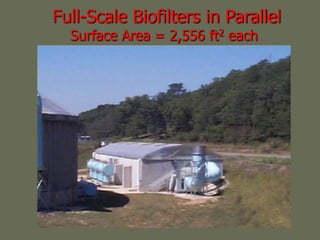 Full-Scale Biofilters in Parallel
Surface Area = 2,556 ft2 each
 