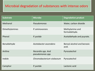Microbial degradation of substances with intense odors.
Substrate Microbe Degradation product
Methanol Pseudomonas Water, carbon dioxide
Dimethylamines P. aminovorans Methylamine and
formaldehyde.
Phenol P. putida Acetaldehyde and puyrate.
Benaldehyde Acetobacter ascendens Benzyl alcohol and benzoic
acid.
Aniline Nocardia spp. And
pseudomonas spp.
Pyrocatechol
Indole Chromobacterium violaceum Pyrocatechol
Camphor P. putida Lactonic acid
 