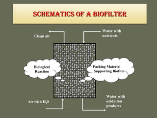 Schematics of a Biofilter
Air with H2S
Clean air
Packing Material
Supporting Biofilm
Biological
Reaction
Water with
nutrients
Water with
oxidation
products
 
