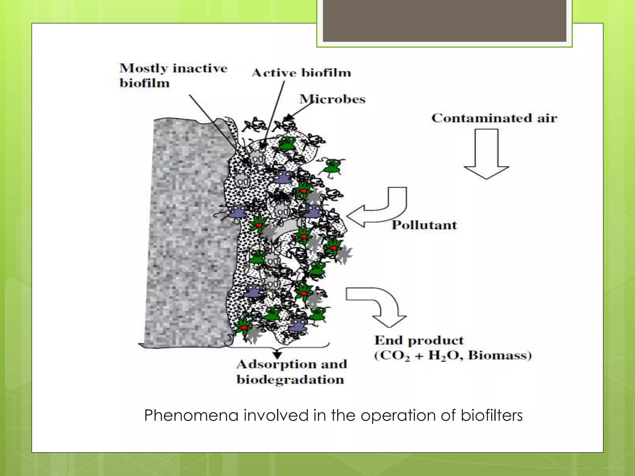 Phenomena involved in the operation of biofilters
 