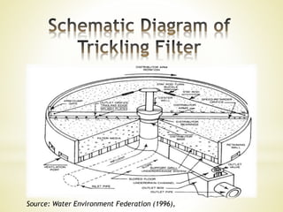 Biofiltration | PPTX