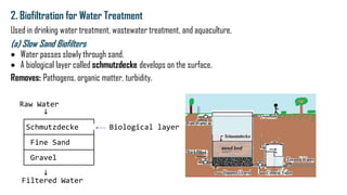 Comprehensive Overview of Biofiltration: Principles, Types, and ...